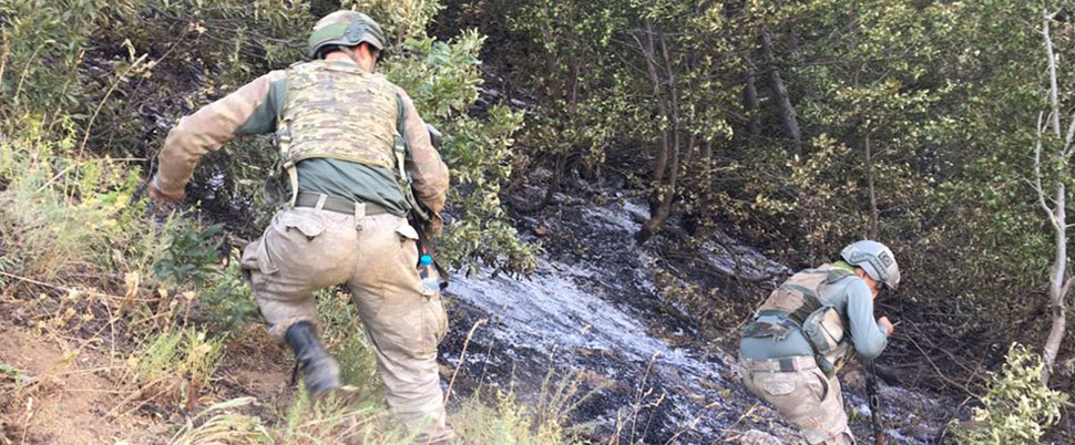 'Yeşil listede' bulunan PKK'lı terörist öldürüldü