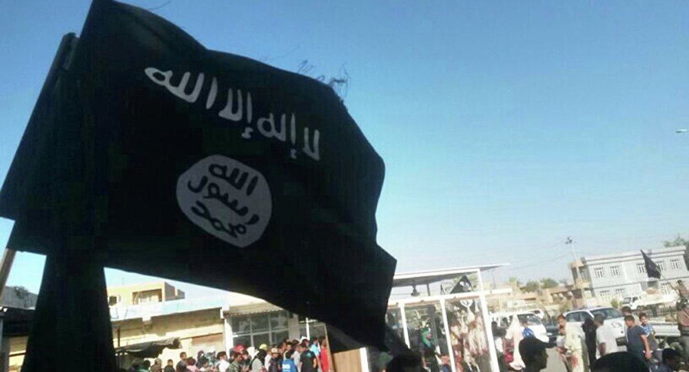 IŞİD militanı: Silahları Ukrayna'dan aldık, Türkiye'den Suriye'ye geçirdik