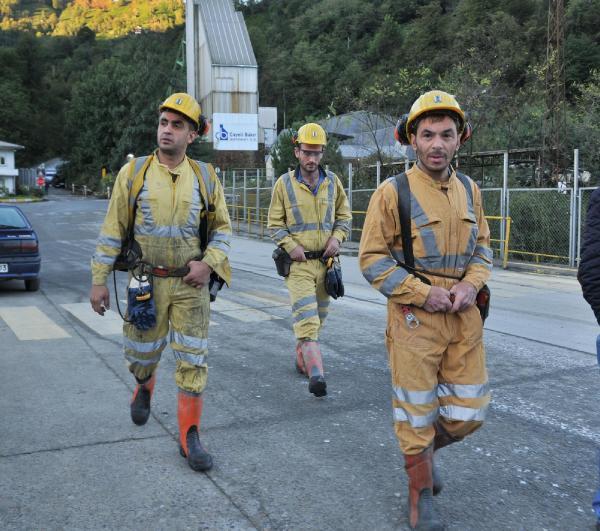 Türkiye'nin en büyük bakır madeninde 320 işçi grev başlattı